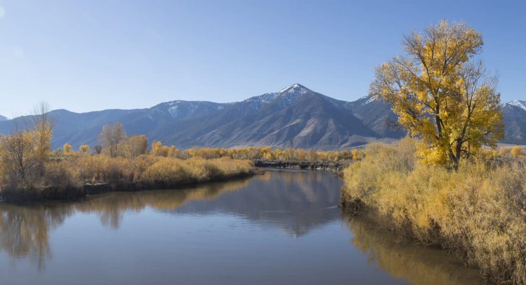 Carson Valley Fall Color